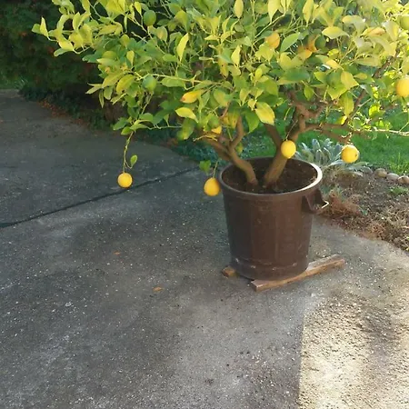 Papp Apartmanház *